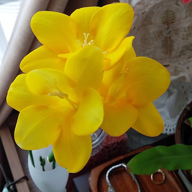 makayokoさんの部屋