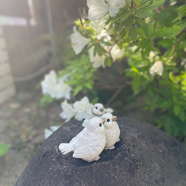 kuikoさんの実例写真