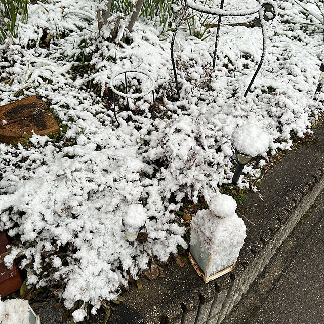 ritsukoさんの部屋