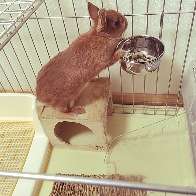kkさんの実例写真