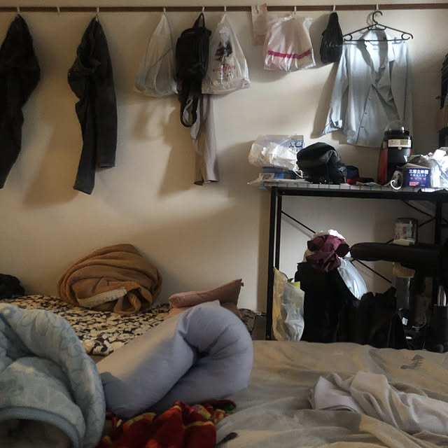 haiさんの実例写真