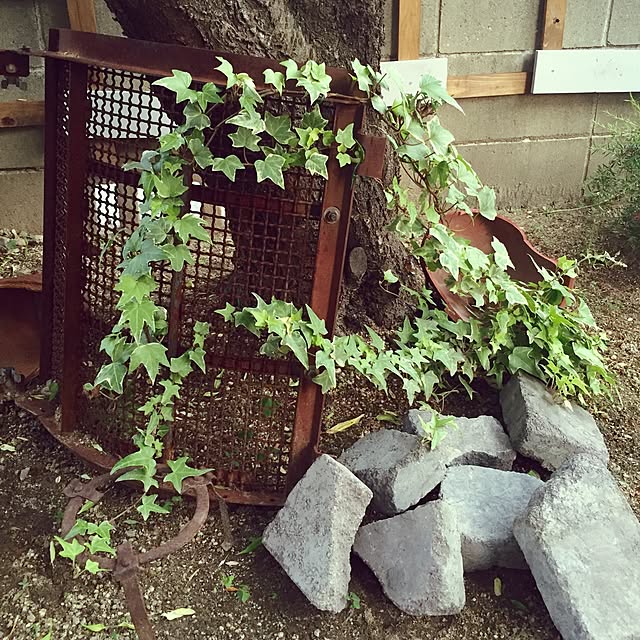bibianさんの実例写真