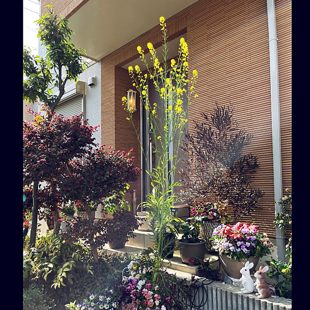 yukarin-gardenさんの実例写真
