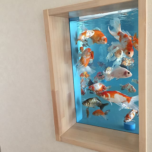 chieさんの実例写真