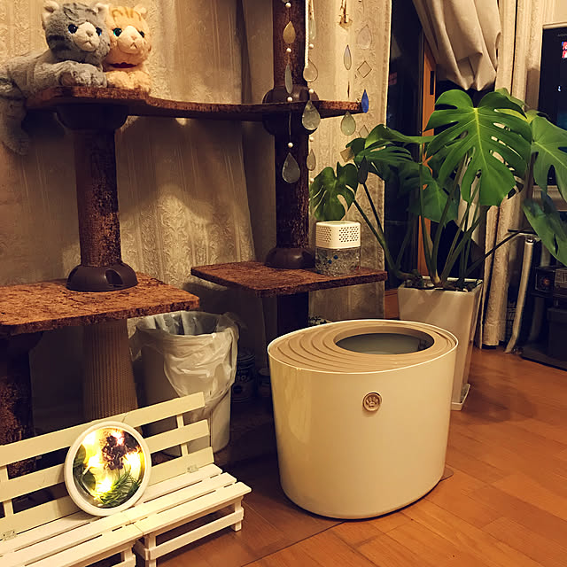 lavie0125さんの実例写真
