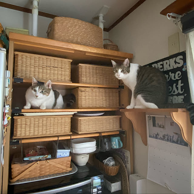 Lufuさんの実例写真