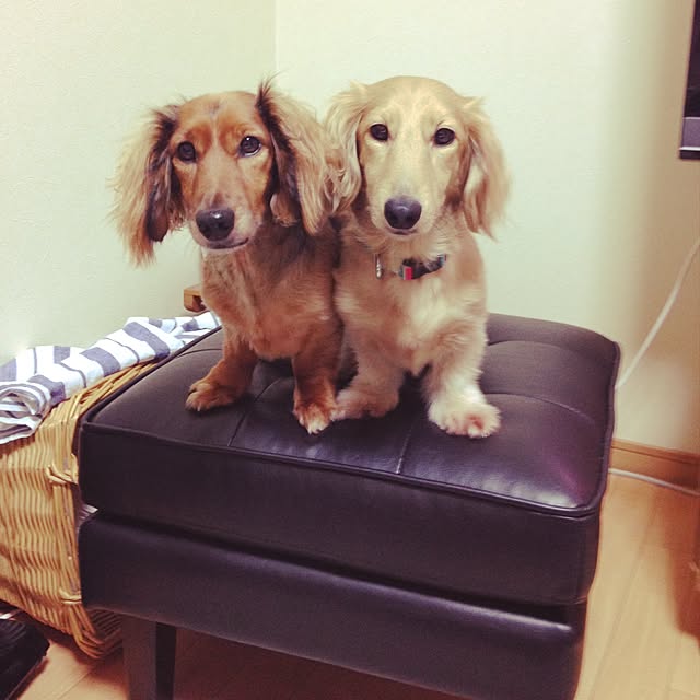 kaonさんの実例写真