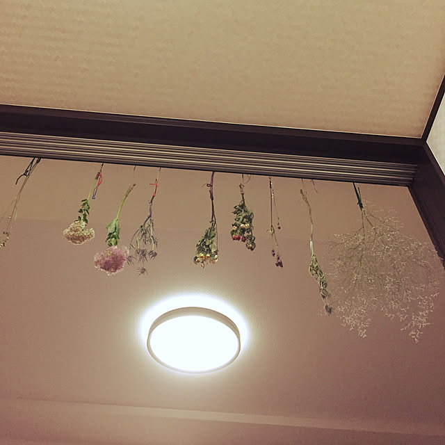Moriさんの実例写真