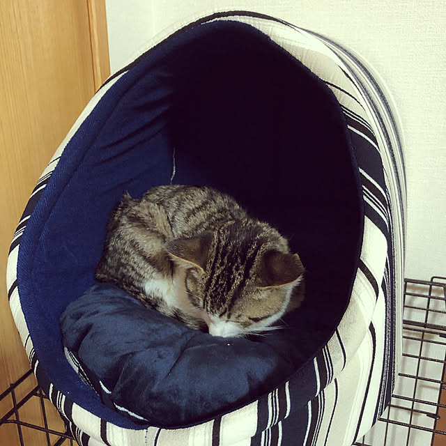 nacchi4さんの実例写真