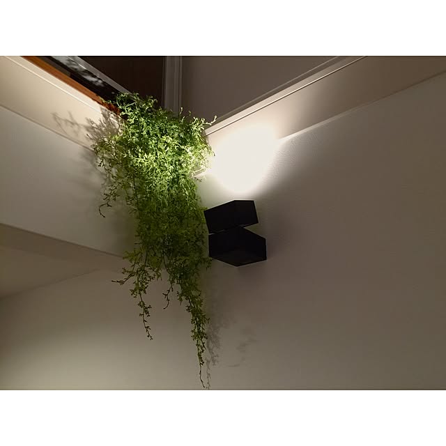 satoさんの実例写真