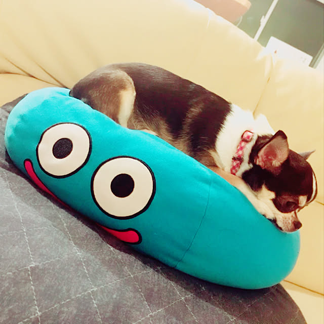 miiさんの実例写真