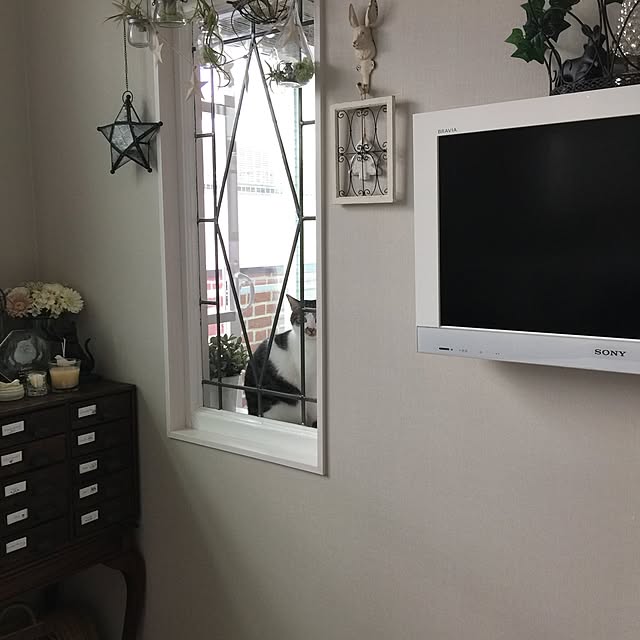 yuchiさんの実例写真