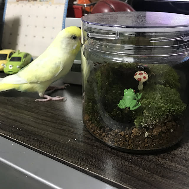 takaさんの実例写真