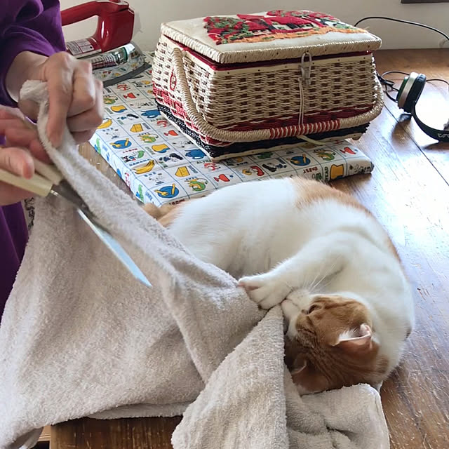 meさんの実例写真
