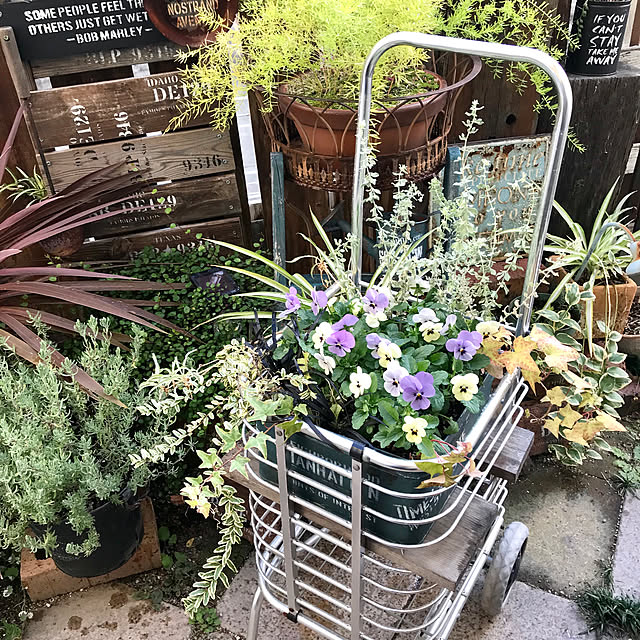 nokoさんの実例写真