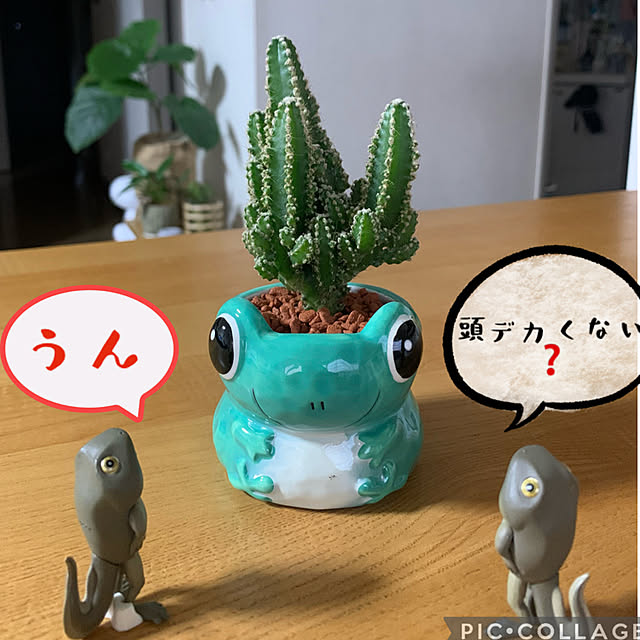 JUNさんの実例写真