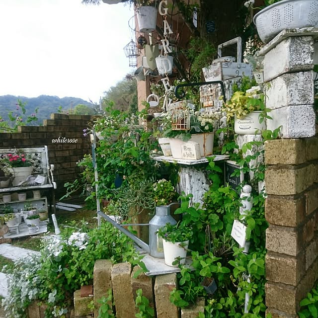 whiteroseさんの実例写真