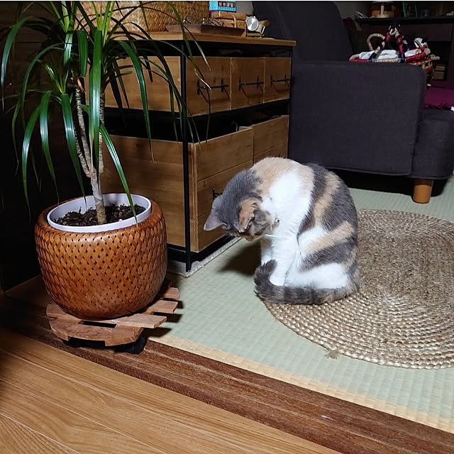 fukuさんの実例写真