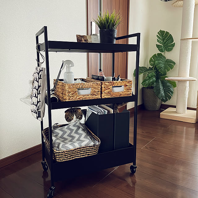 tansukeさんの部屋