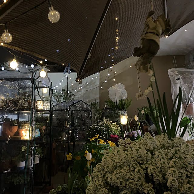 Aqettyさんの部屋
