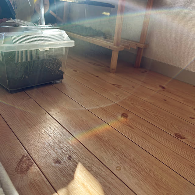 nee_roomさんの部屋