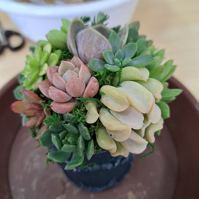 noaさんの部屋