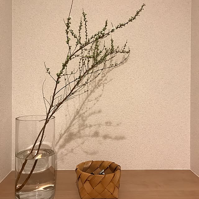 ykr80qさんの実例写真