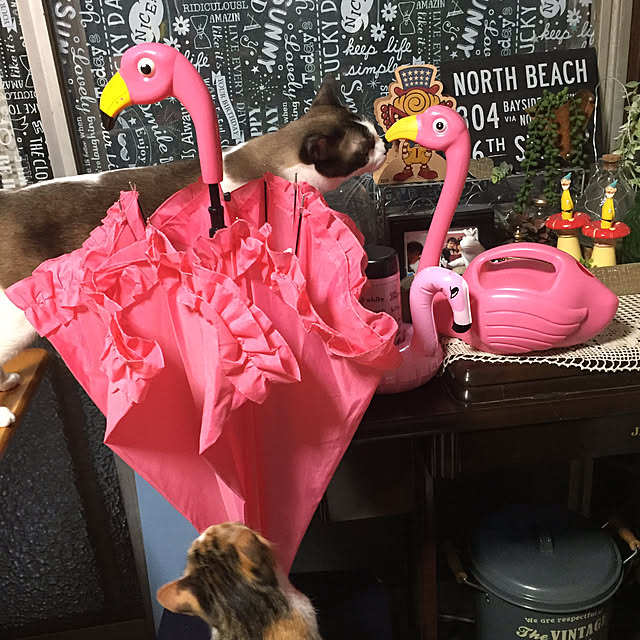 vivienne.coco-keiさんの実例写真
