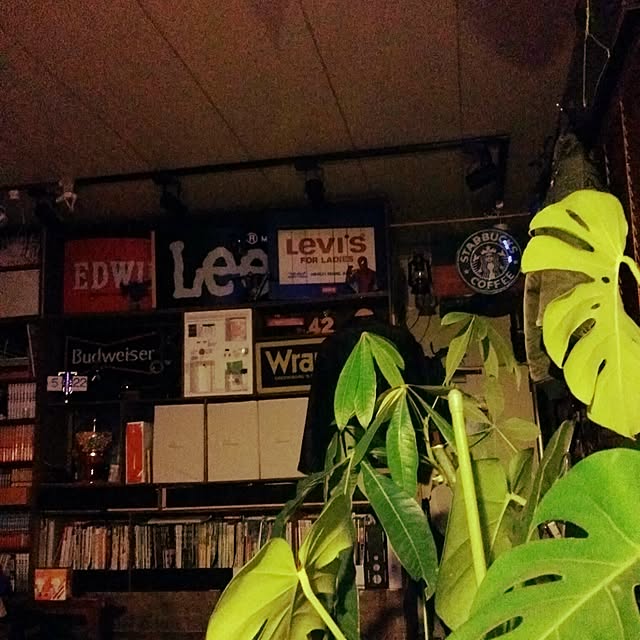 johnny.bravoさんの実例写真