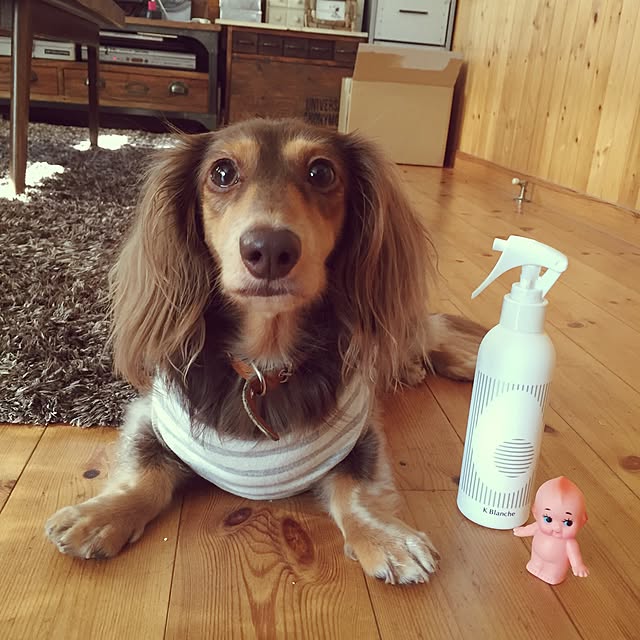 yupponさんの実例写真