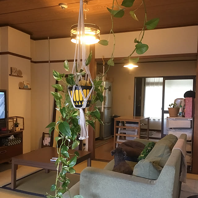 tamaさんの実例写真