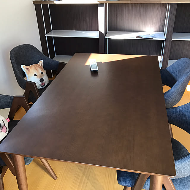 syrinxさんの実例写真