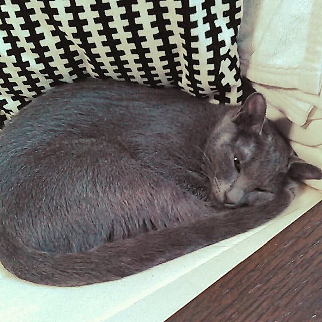 mochiさんの実例写真
