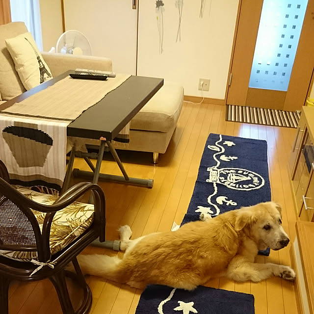 mikamikaさんの実例写真
