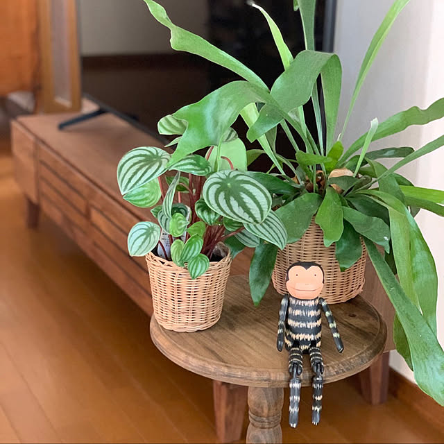 Mikarinさんの実例写真