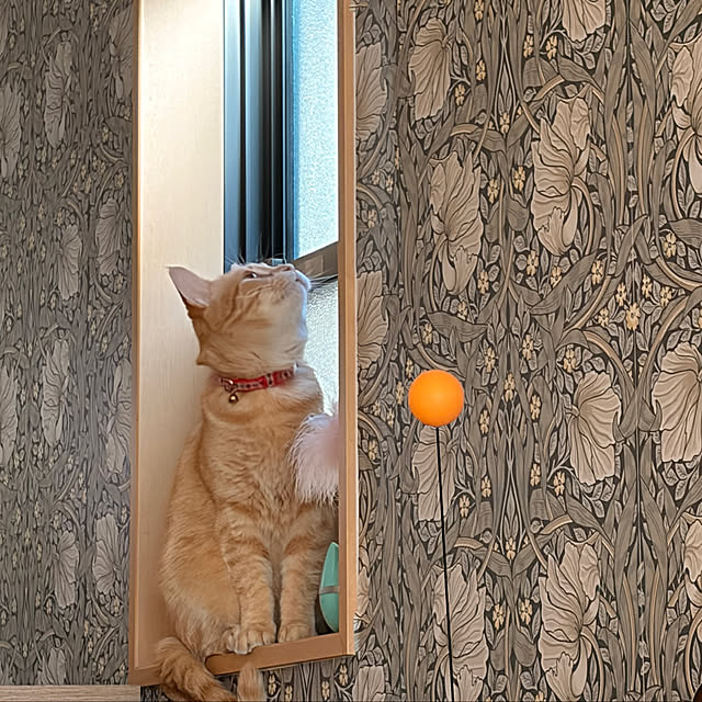 okogeさんの実例写真