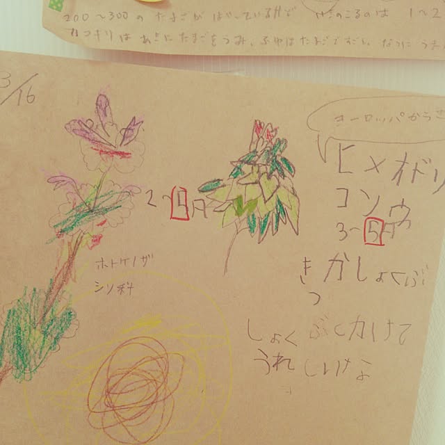 yun0603さんの実例写真