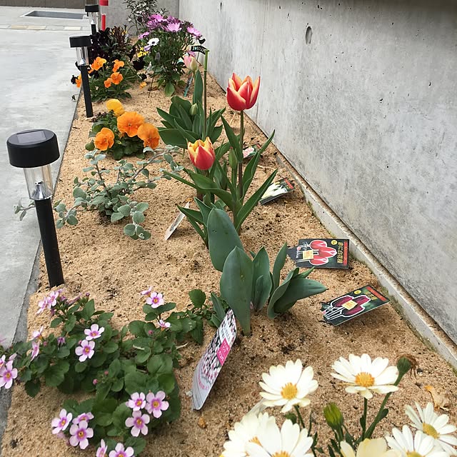 taitaiさんの実例写真