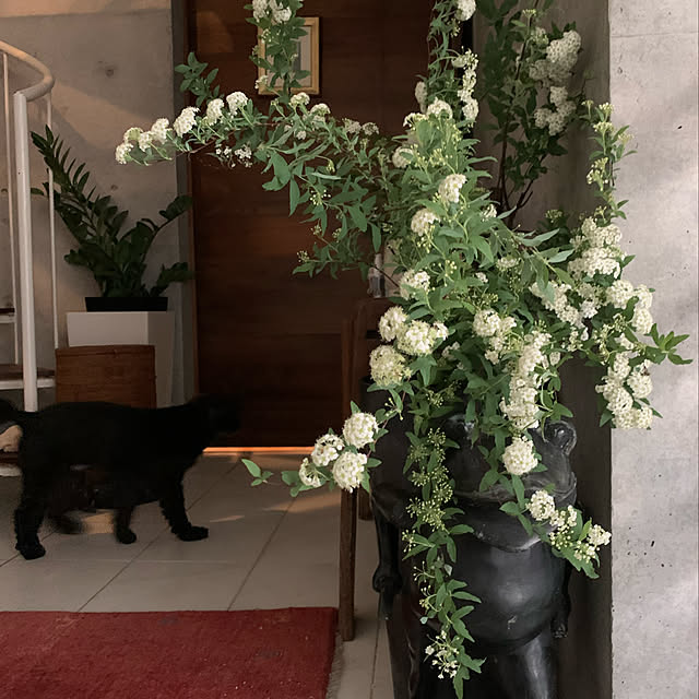 flowerさんの実例写真