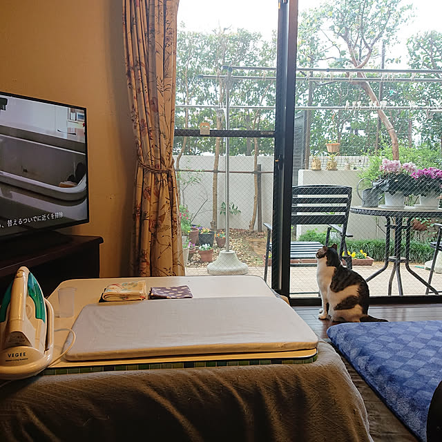 okyosan101さんの実例写真
