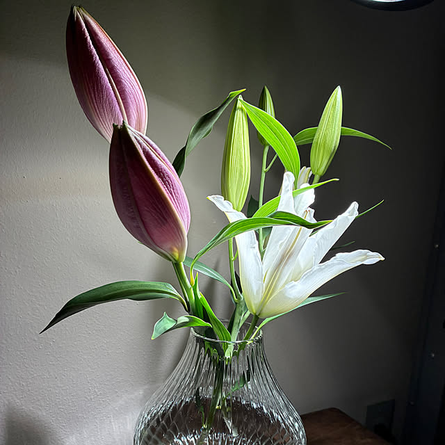 mkk8739hanasakuさんの部屋