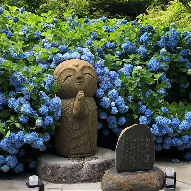 nicoさんの実例写真