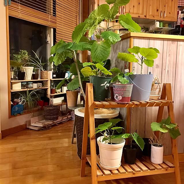 makoriさんの実例写真