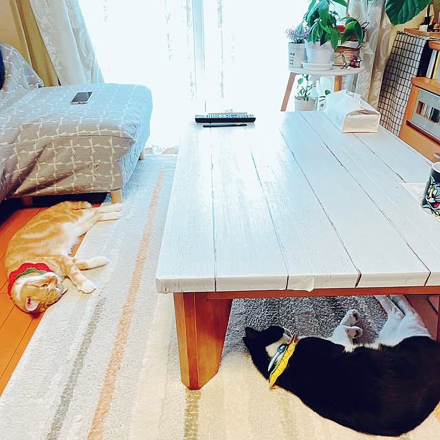 moolさんの実例写真