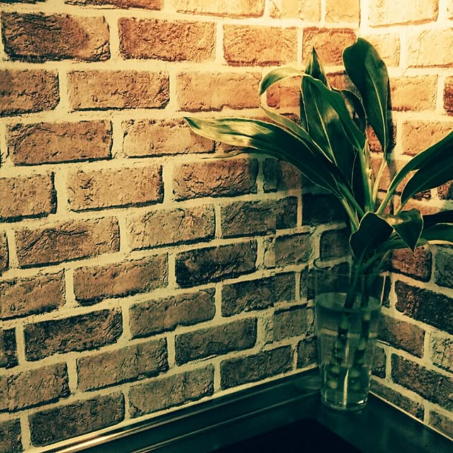 y_nowさんの実例写真