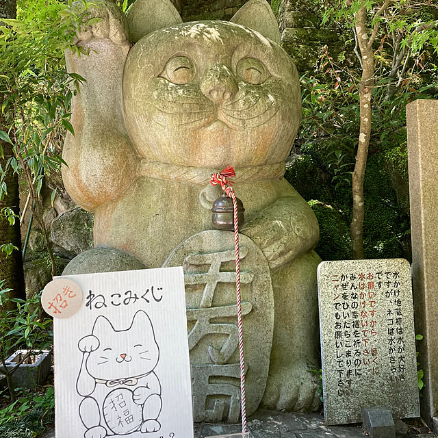 kirakirahoshiさんの部屋