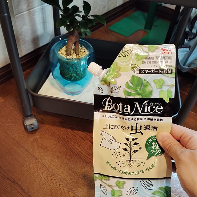 momomamaさんの部屋