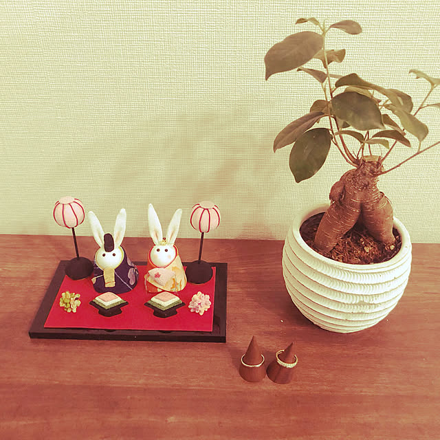 ひな祭り/観葉植物/棚のインテリア実例 - 2022-03-01 00:38:40