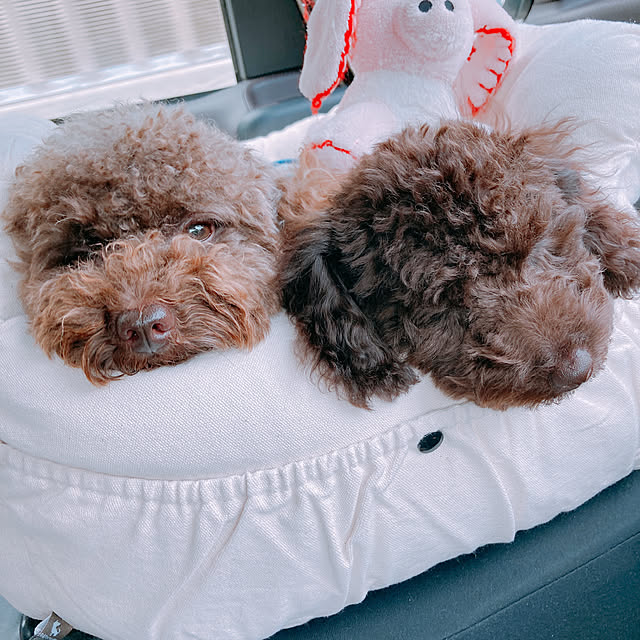 Mayさんの実例写真