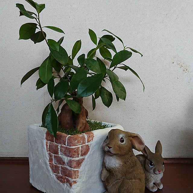 kyonさんの実例写真